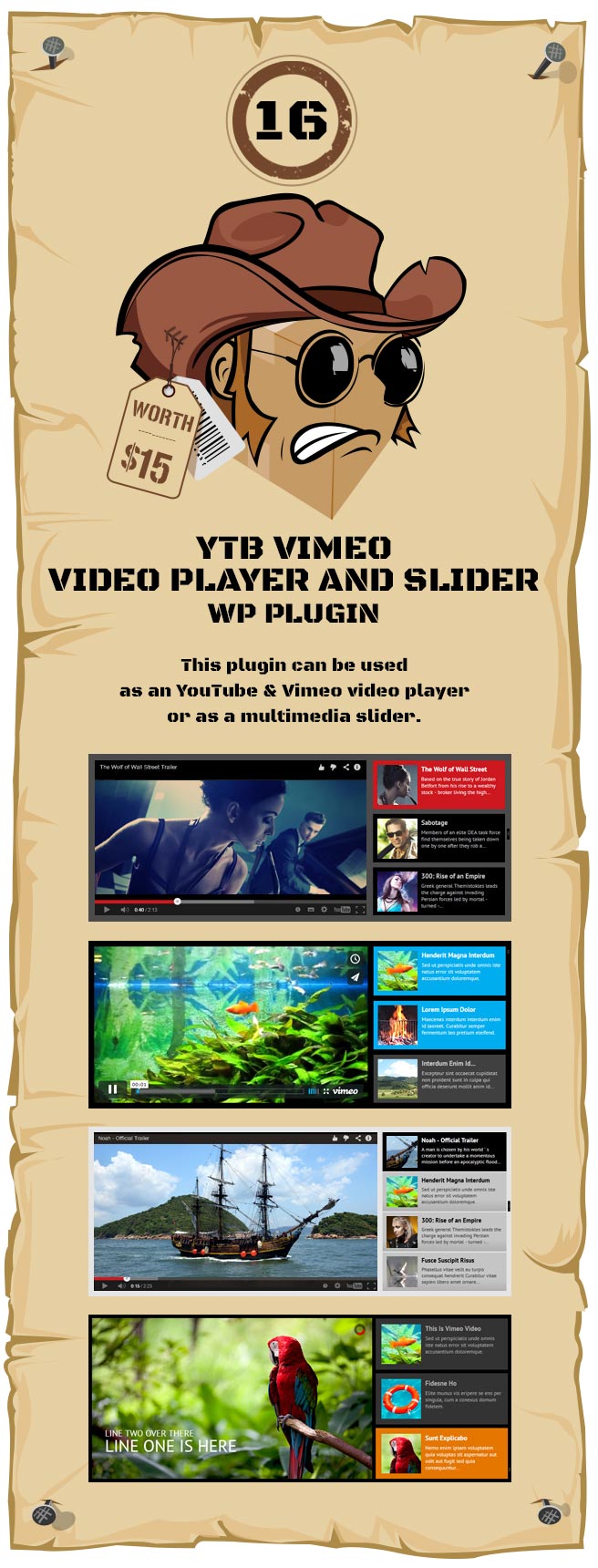 Youtube Vimeo Video Player and Slider WP Plugin