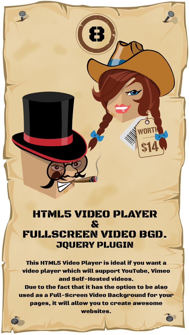 Video Player & FullScreen Video Background - WP Plugin